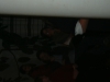 DSCN1632