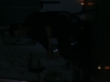 DSCN1668