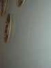 DSCN1754