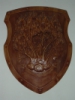 DSCN1764