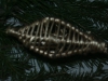 DSCN1765