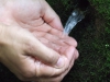 dscf0187