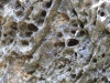 dscf0224