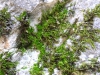 dscf0225