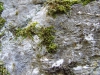 dscf0228
