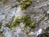 dscf0229