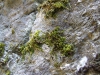 dscf0230