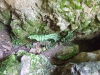 dscf0239