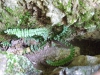 dscf0240
