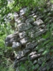 dscf0241
