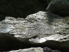 dscf0242