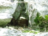 dscf0243