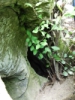 dscf0247