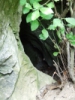 dscf0248
