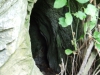 dscf0249