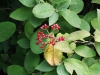 dscf0252