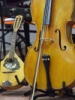 2006_0408guinessbekes0177