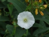 dscf3427
