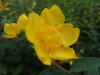 dscf3428