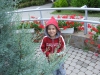 dscf3448