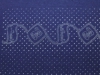 dscf6295
