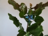 dscf6899
