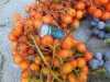 dscf6932