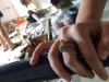 dscf6956