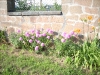 dscn1149