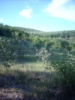 dscn1163