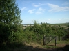 dscn1164