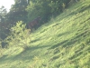 dscn1167