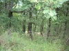 dscn1218