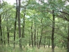 dscn1220