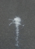 hpim6367