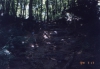 img006