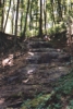 img028