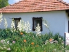 imgp0473