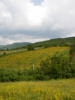 imgp0526
