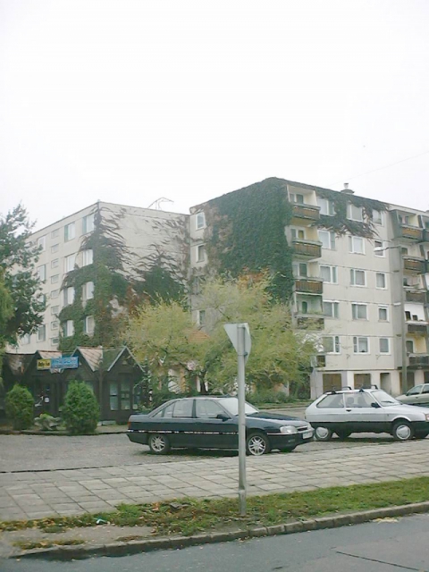 CLTW000037