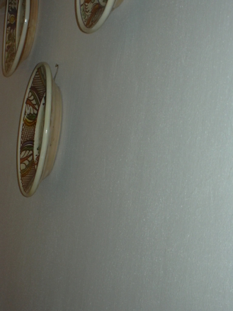 DSCN1754