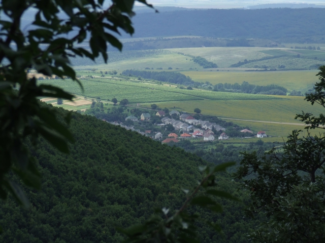 dscf0192