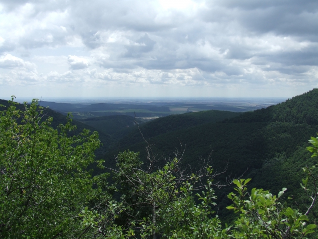 dscf0215