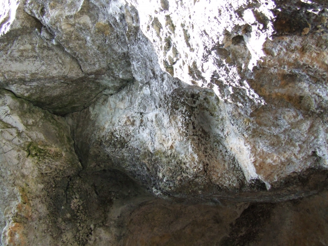 dscf0220
