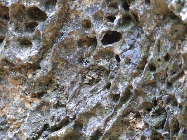 dscf0222