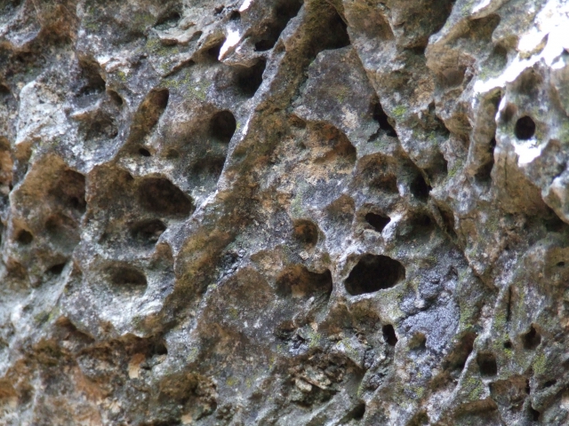 dscf0223