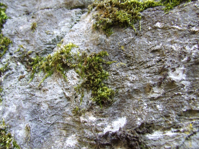 dscf0228