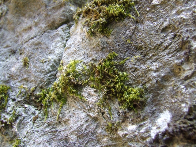 dscf0230