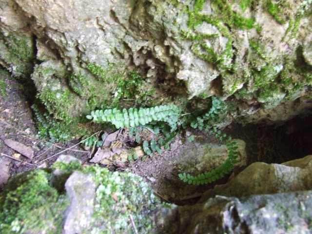 dscf0239