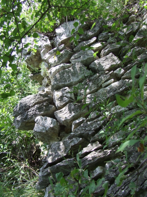 dscf0241